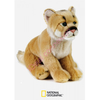 lion-des-montagnes_gf