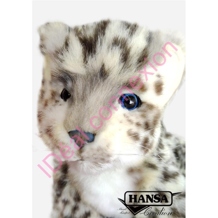 bbloparddesneigesf-1_gf