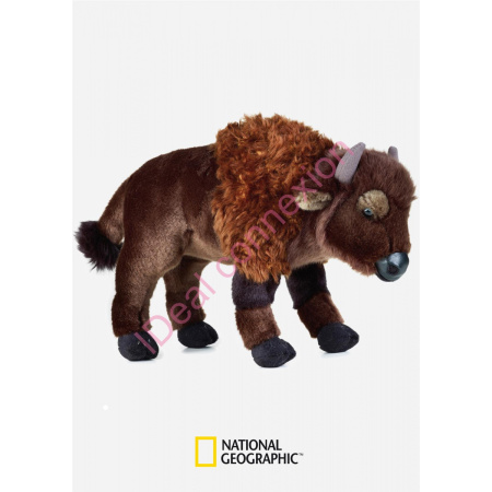 bison_gf