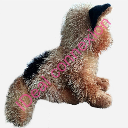 chienwwf1