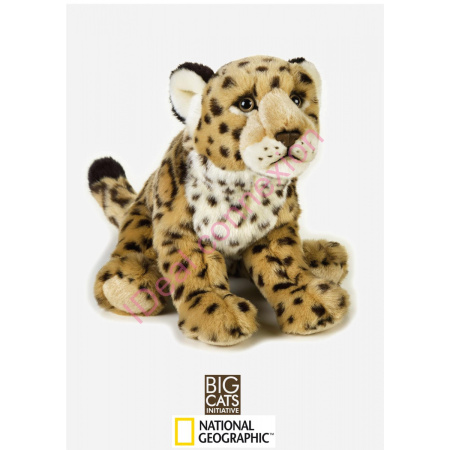jaguarpm_gf