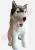 Peluche chien Husky géant